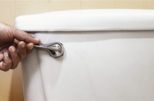 Image of a person holding toilet handle.