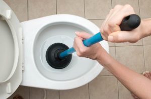 Image of a person using a toilet plunger.